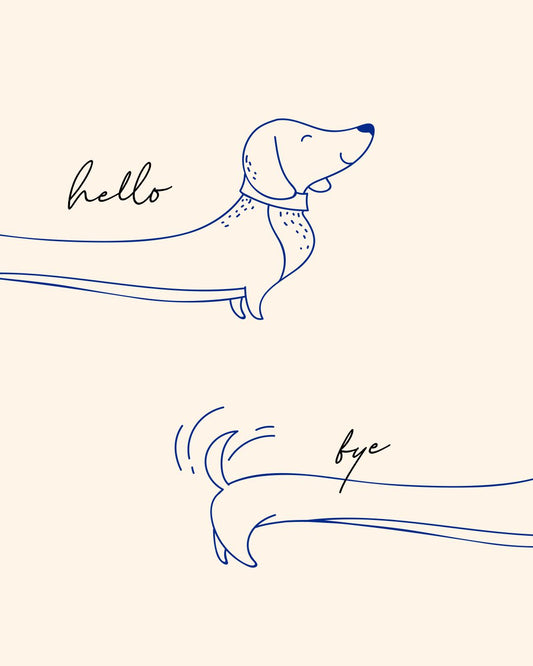 HELLO/BYE-SAID, THE DOG